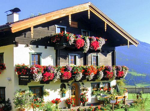 Apartamento Brotzeitalm Pfarrwerfen Exterior foto